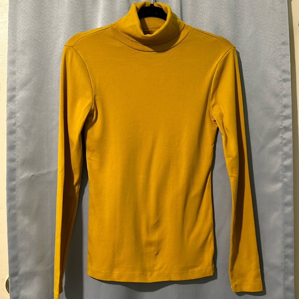 J Crew turtle neck top